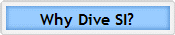 Why Dive SI?