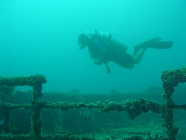 Advanced Open Water Photo