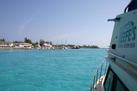 Boat Diver Photo