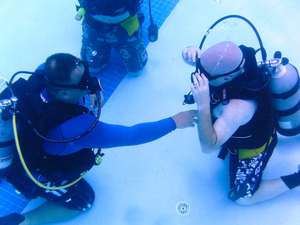 Open Water Diver Course