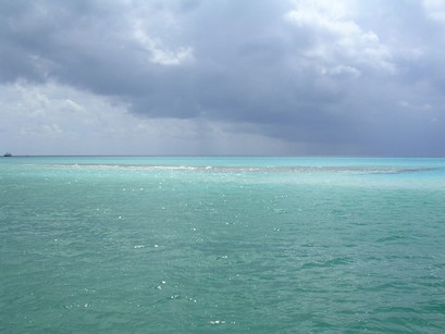 Government Cut Squall