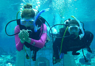 Open Water Diver Photo