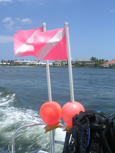 Dive Flag Floats