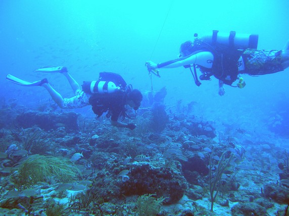 Divemaster with the line.